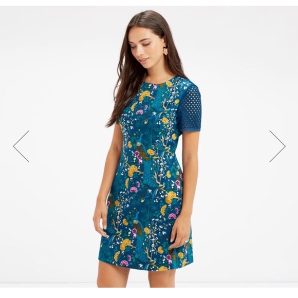 oasis lace flounce shift dress